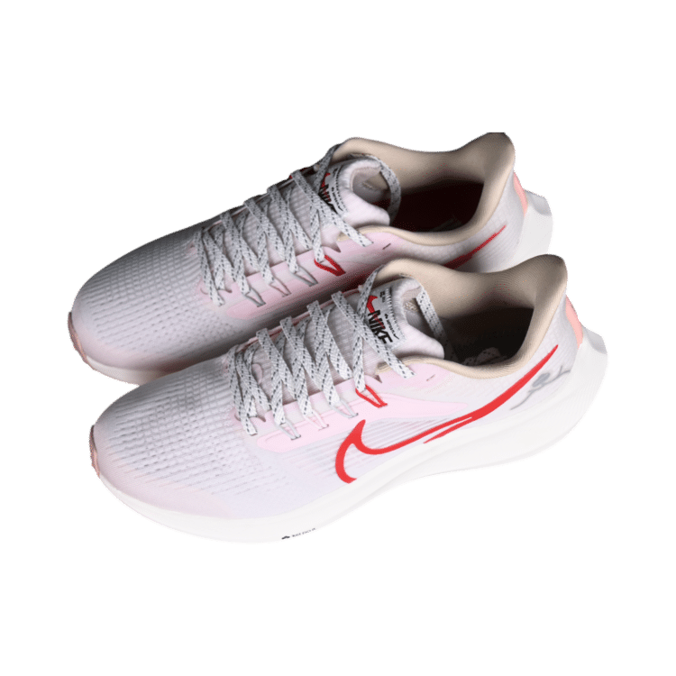 Nike air zoom pegasus 39 running shoes
