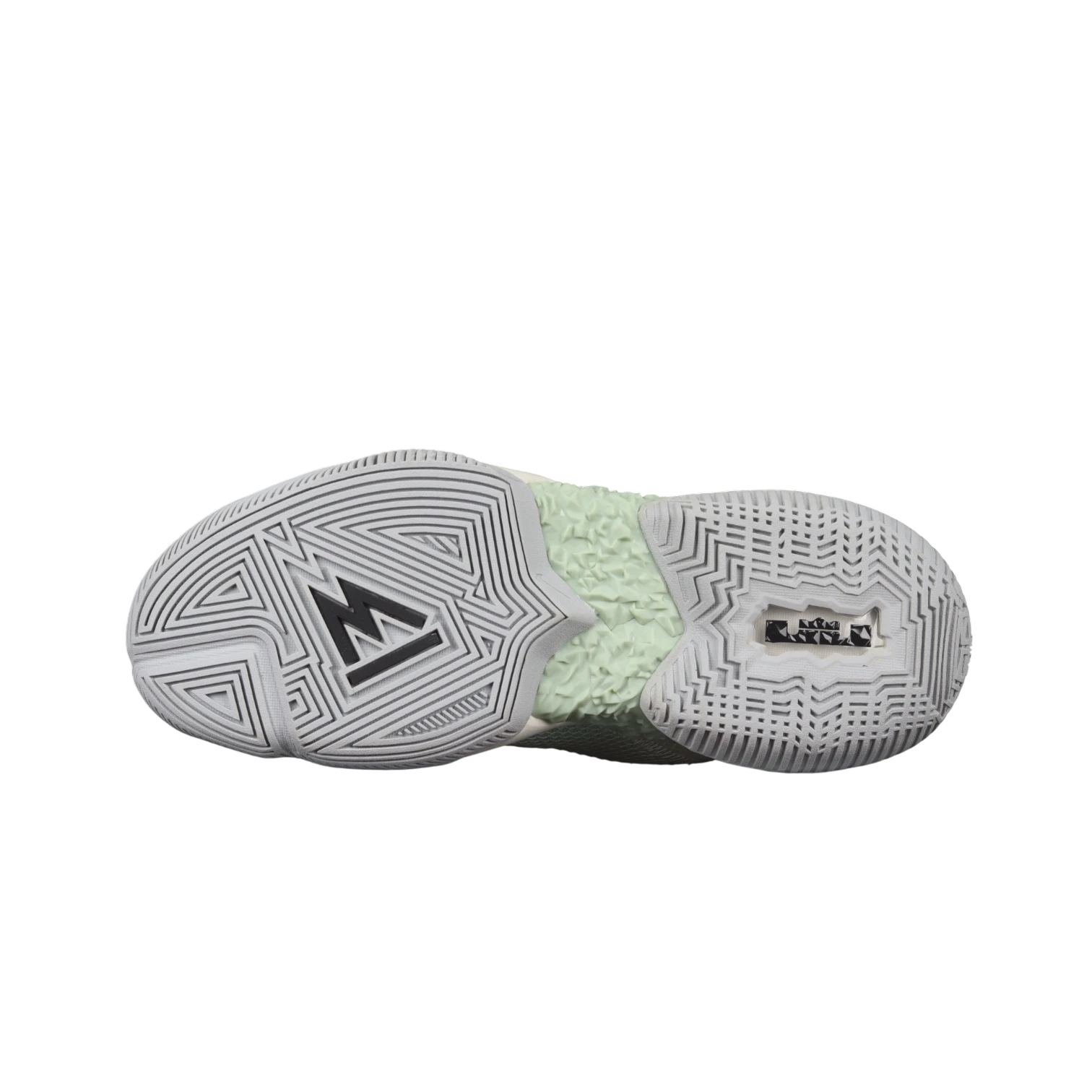 Nike lebron ambassador xiii 