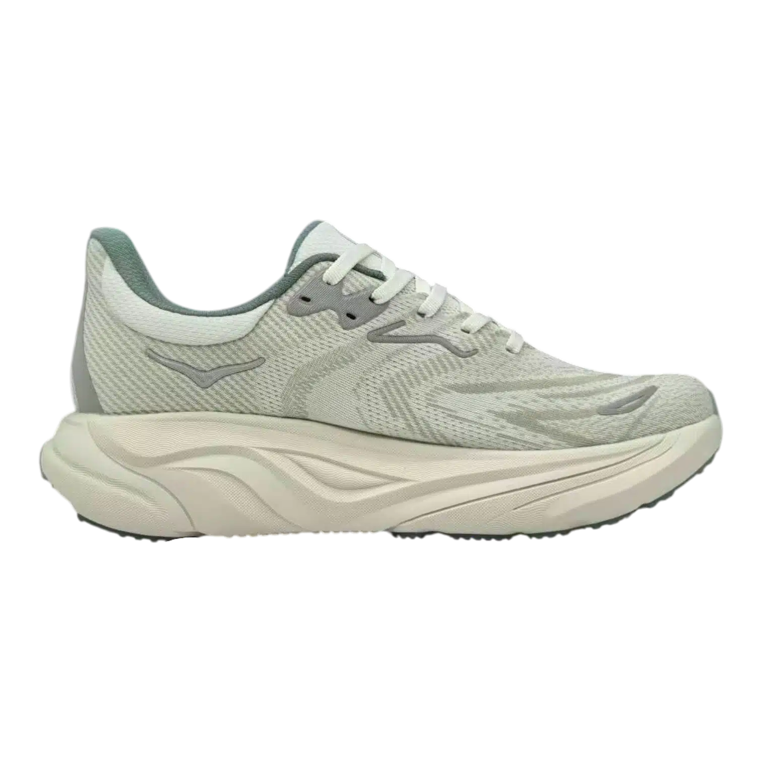 Hoka one one arahi 8 walking shoes