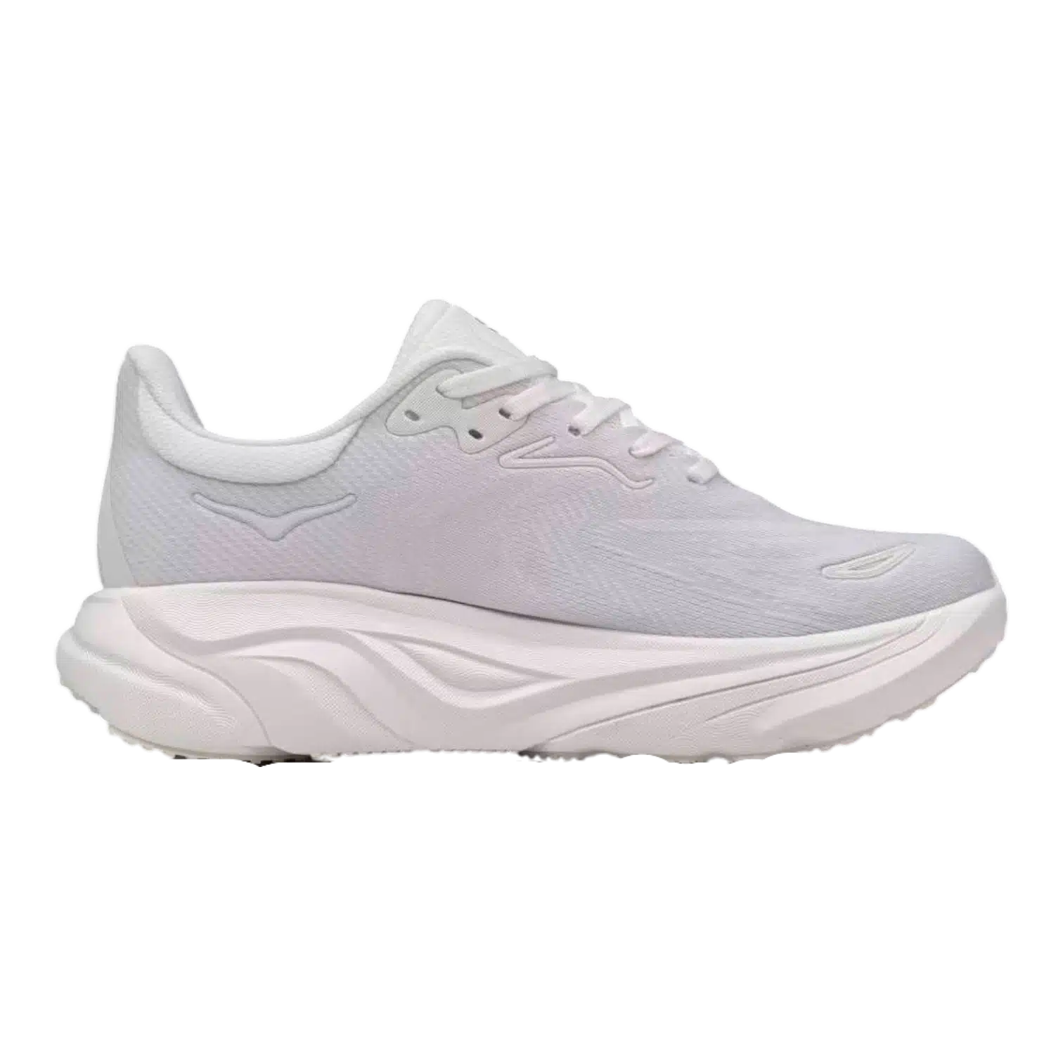 Hoka one one arahi 8 anatomic shoes