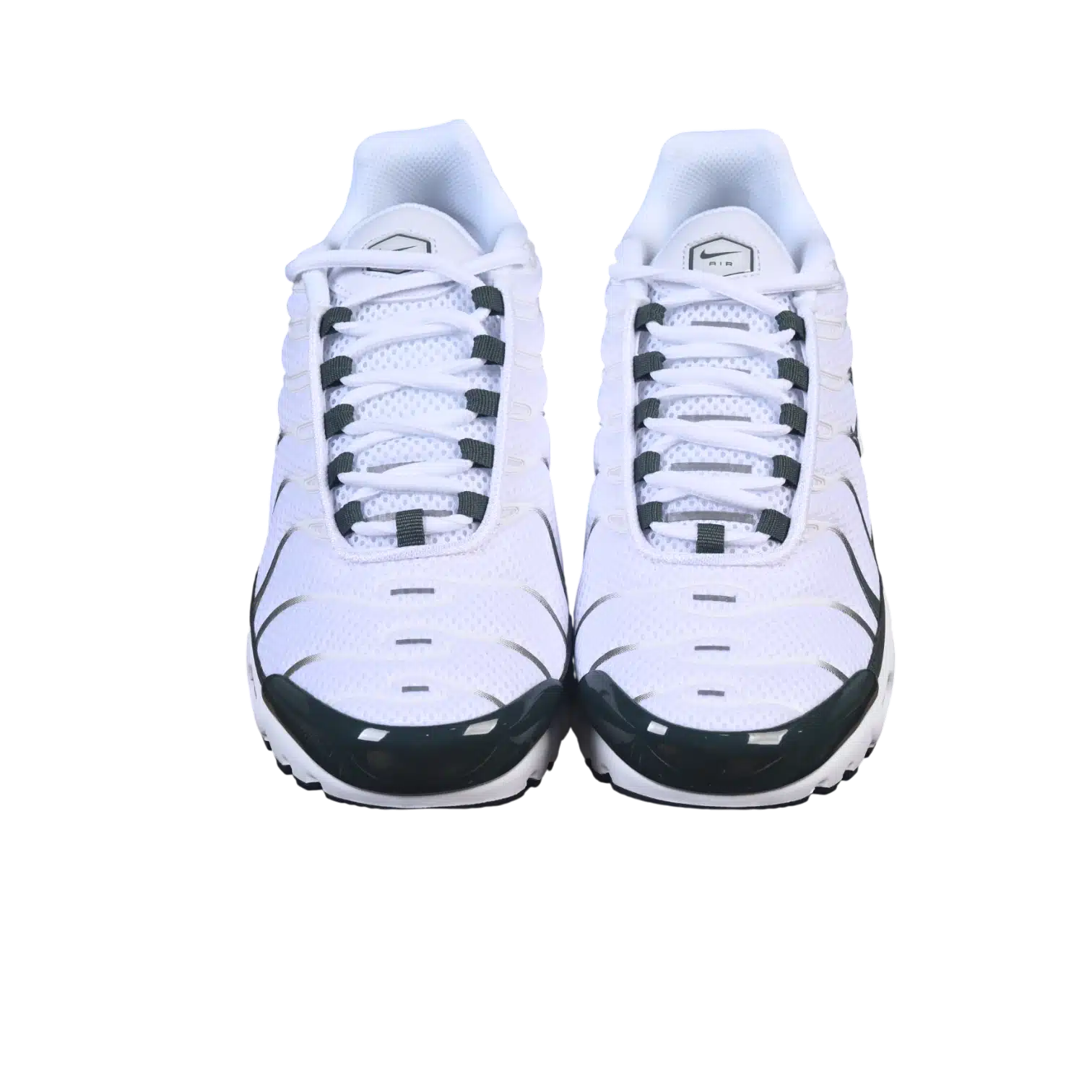 Nike air max plus
